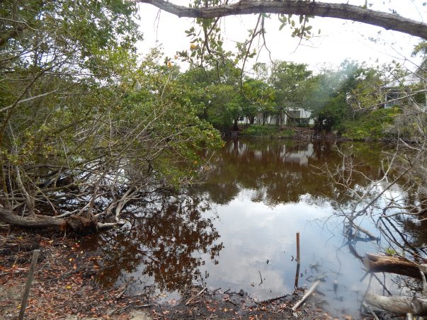 Sanibel Bayous: Buck Key Road