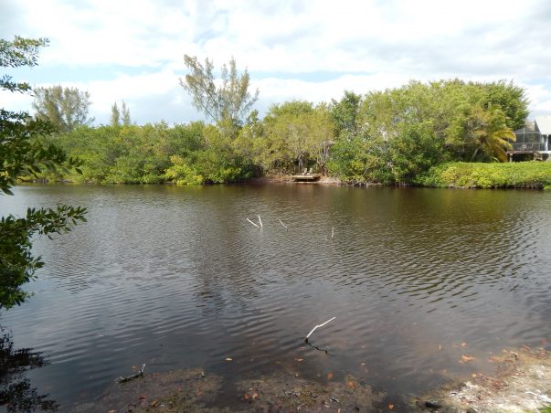 Sanibel Bayous: Lady Finger Lake