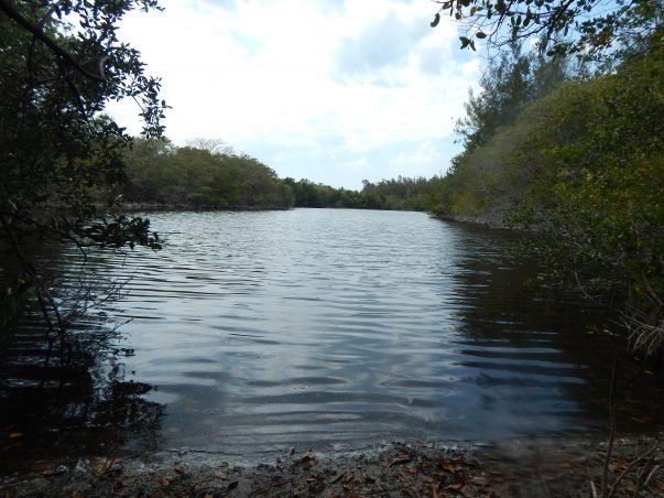 Wulfert Lake