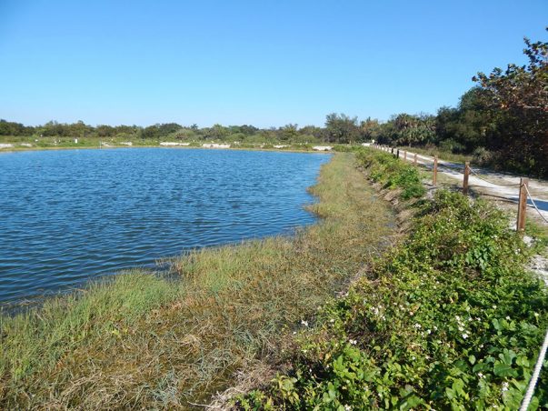 Pond Apple Park: Reuse Pond