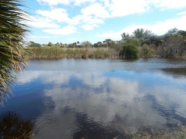 East Rocks: Coquina Drive