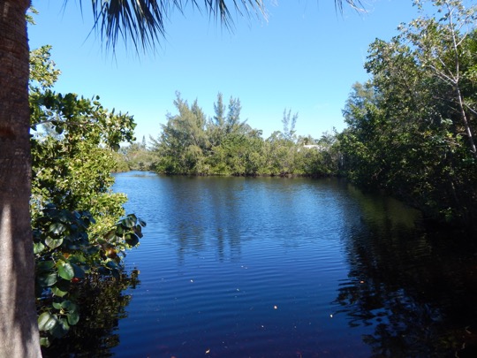 Gumbo Limbo: West Lake