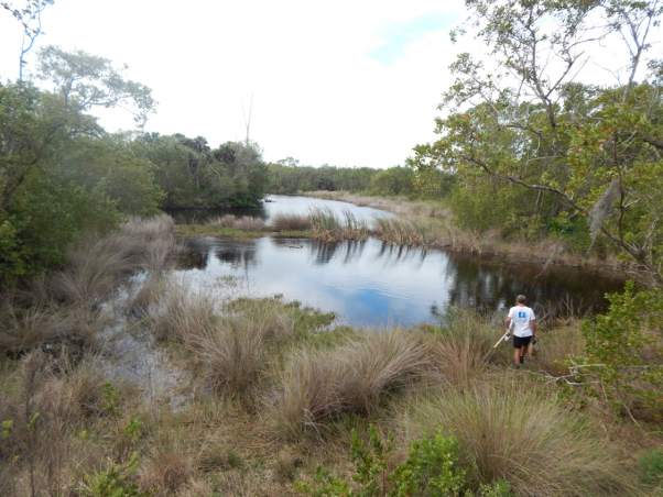 SCCF: Hass Pond