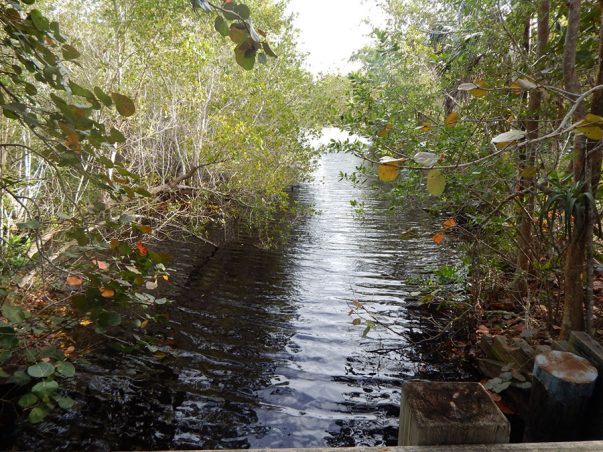 Gulf Pines: Sanibel Slough Gage Station