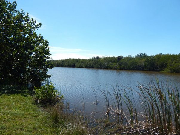 Sanibel River Estates