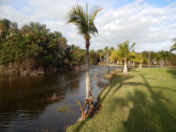 Sanibel Hamlet