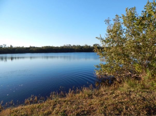 Bailey Tract: Smith Lake