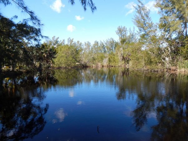 Twin Ponds (or Ranchoe Way)