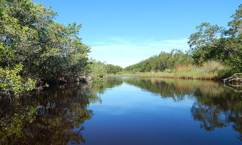 Sanibel River