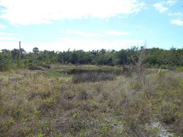 Sanibel Bayous Restortation Lake East