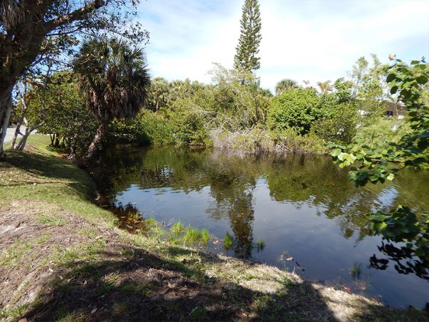 Chateaux Sur Mer: Bayou