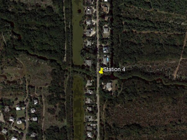 Sanibel Slough: Station 4